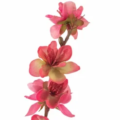 Peach Blossom Stem by Ashland®