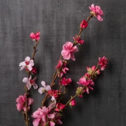 Peach Blossom Stem by Ashland®