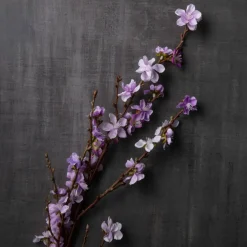 Peach Blossom Stem by Ashland®