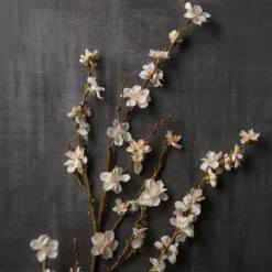 Peach Blossom Stem by Ashland®