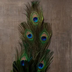 35" Peacock Feather Pick by Ashland®