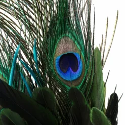 35" Peacock Feather Pick by Ashland®