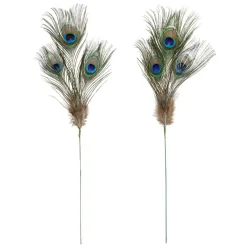 Peacock Feather Picks by Ashland®