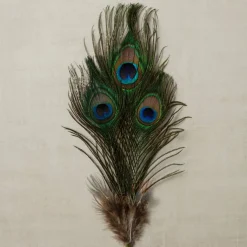 Peacock Feather Picks by Ashland®