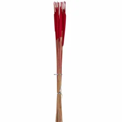 26" Pencil Bullrush Cattails, 75ct.