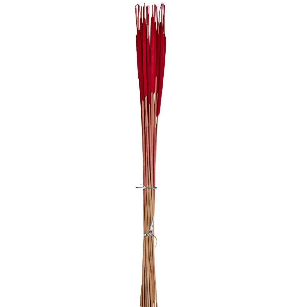 26" Pencil Bullrush Cattails, 75ct.