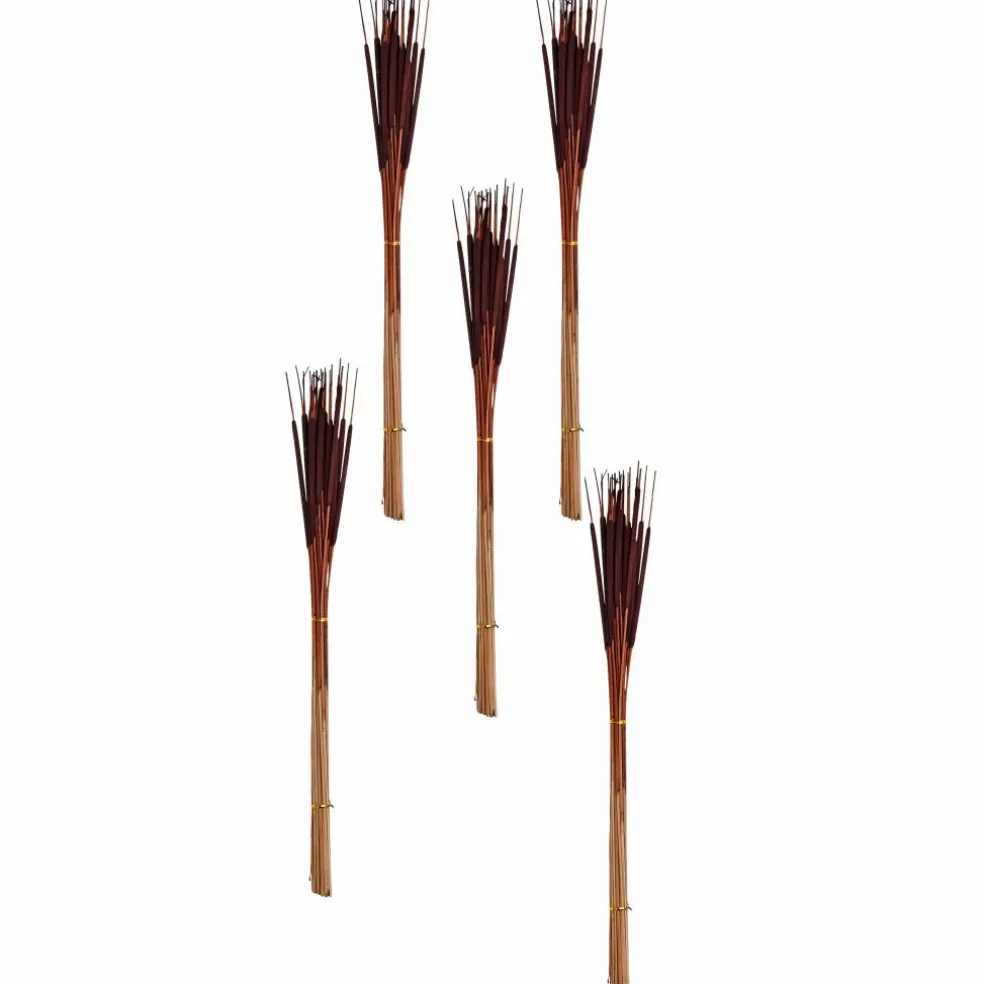 26" Pencil Bullrush Cattails, 75ct.