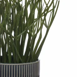 13" Pencil Cactus in Blue Ceramic Pot by Ashland®