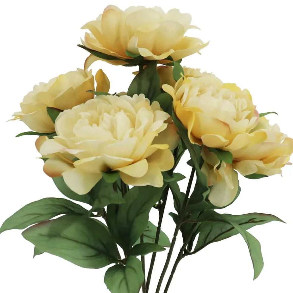 19" Peony Bush by Ashland®