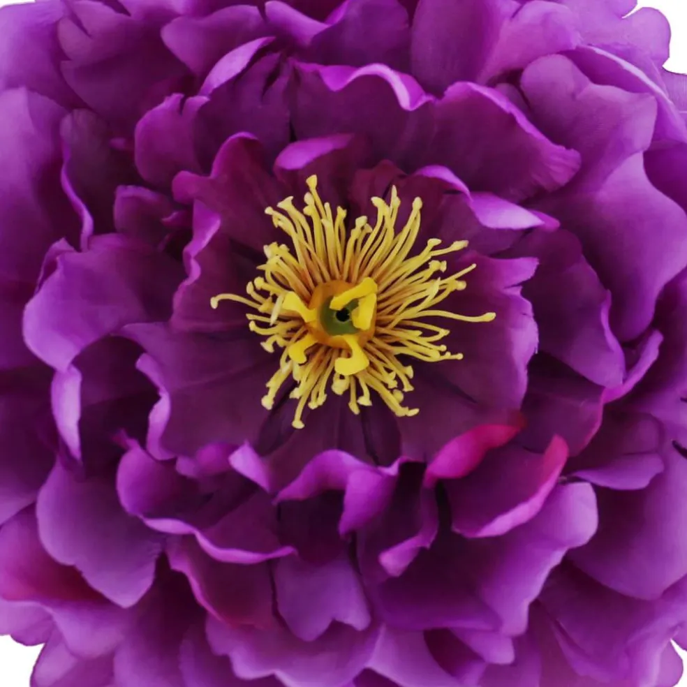 7.5" Peony Floral Accent by Ashland®
