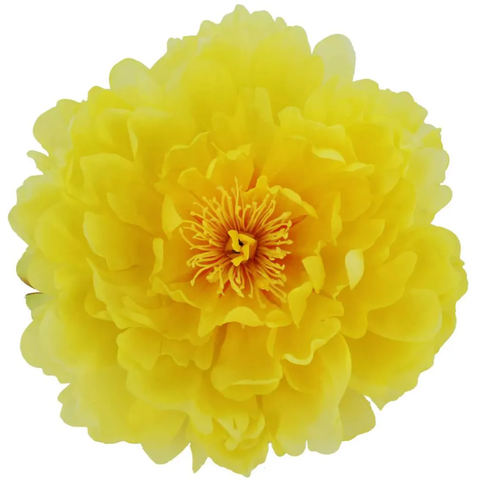 7.5" Peony Floral Accent by Ashland®
