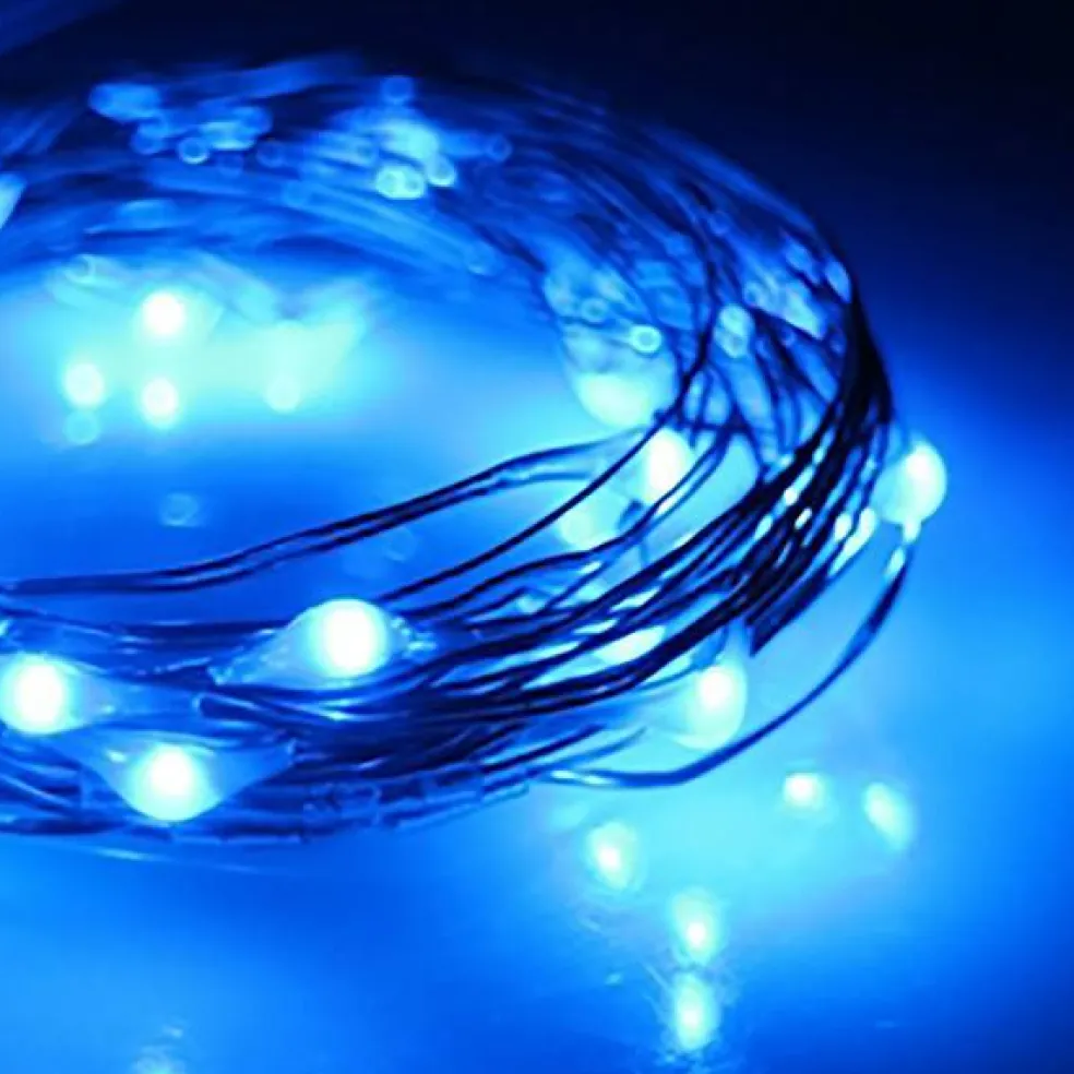 Perfect Holiday 30 LED Copper Fairy String Lights - Battery Operated