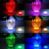 Perfect Holiday Submersible RGB Light with Remote