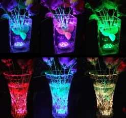 Perfect Holiday Submersible RGB Light with Remote