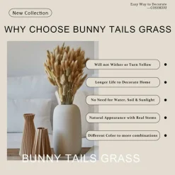 100 Piece Burnt Orange Bunny Tail Dried Flowers 17 Inch Natural Pampas Grass Stems Faux Floral Bouquet for Boho Home Decor Wedding Arrangement Vase Filler