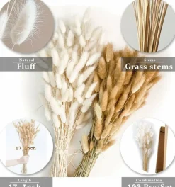 100 Piece Burnt Orange Bunny Tail Dried Flowers 17 Inch Natural Pampas Grass Stems Faux Floral Bouquet for Boho Home Decor Wedding Arrangement Vase Filler