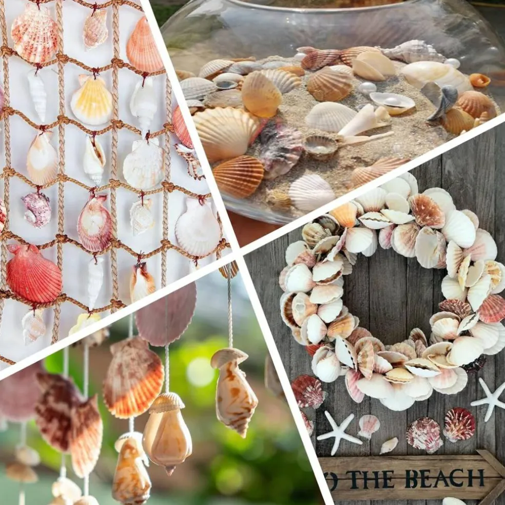 80+ Piece Natural Mixed Seashell & Starfish Set (0.5”–3”) – Ocean Shell Assortment for Crafts, DIY Projects, Beach Party Decor, Wedding Decorations, Fish Tank & Coastal Home Styling