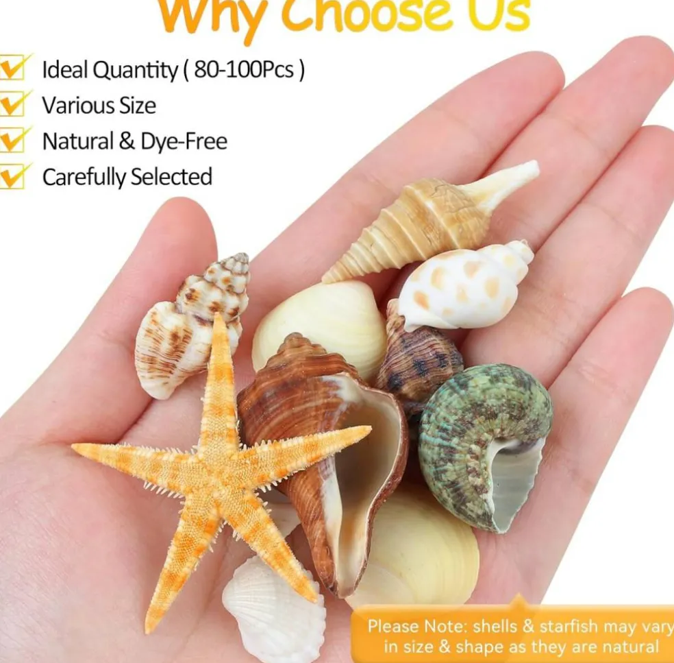 80+ Piece Natural Mixed Seashell & Starfish Set (0.5”–3”) – Ocean Shell Assortment for Crafts, DIY Projects, Beach Party Decor, Wedding Decorations, Fish Tank & Coastal Home Styling