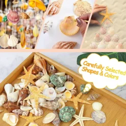 80+ Piece Natural Mixed Seashell & Starfish Set (0.5”–3”) – Ocean Shell Assortment for Crafts, DIY Projects, Beach Party Decor, Wedding Decorations, Fish Tank & Coastal Home Styling