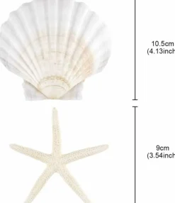 8-Piece Natural Scallop Shell & Starfish Set (4–5”) – Beach Craft Supplies & Coastal Decor – Ocean Theme Party, Wedding, Christmas Ornaments & Home Decoration