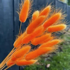 120 Piece Orange Bunny Tail Dried Flowers 17 Inch Natural Pampas Grass Stems Boho Floral Arrangement Vase Filler Wedding Decor Baby Shower Decoration