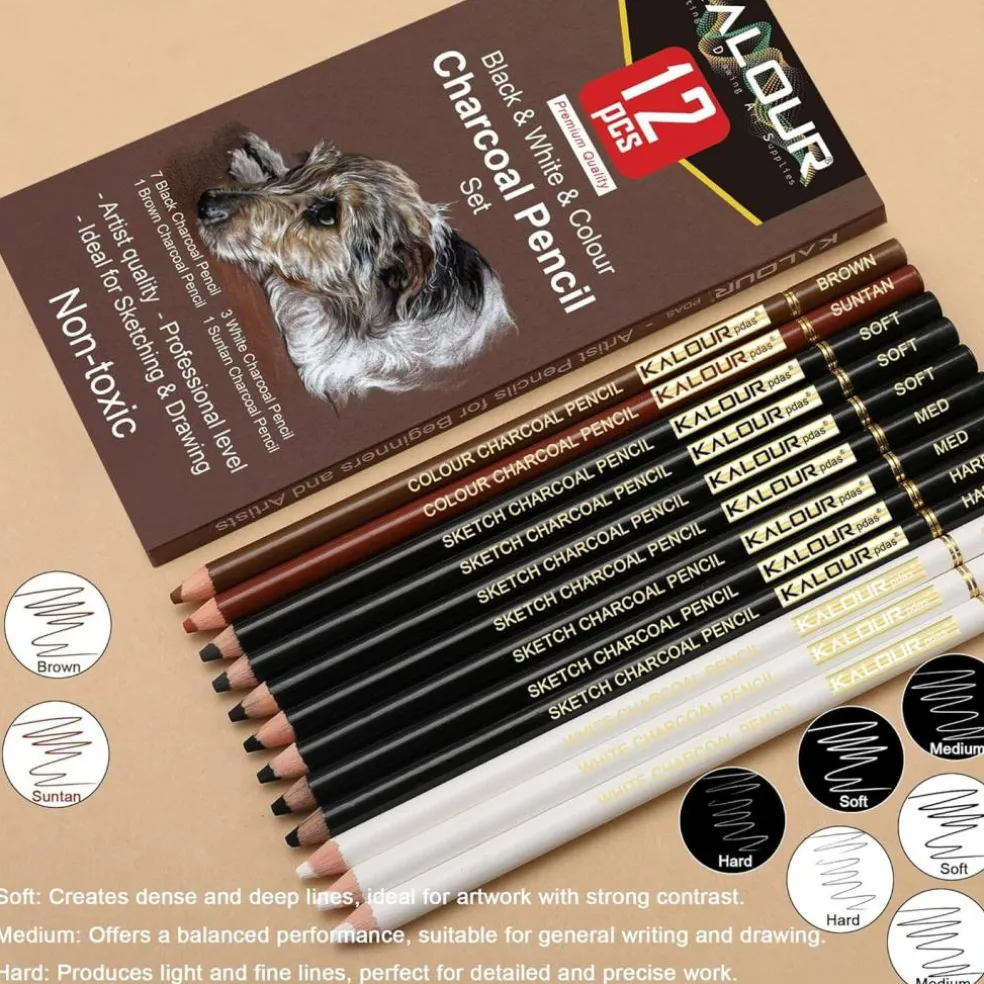 12-Piece Pro Colored Charcoal Set – Pastel Chalk Pencils for Sketching & Shading