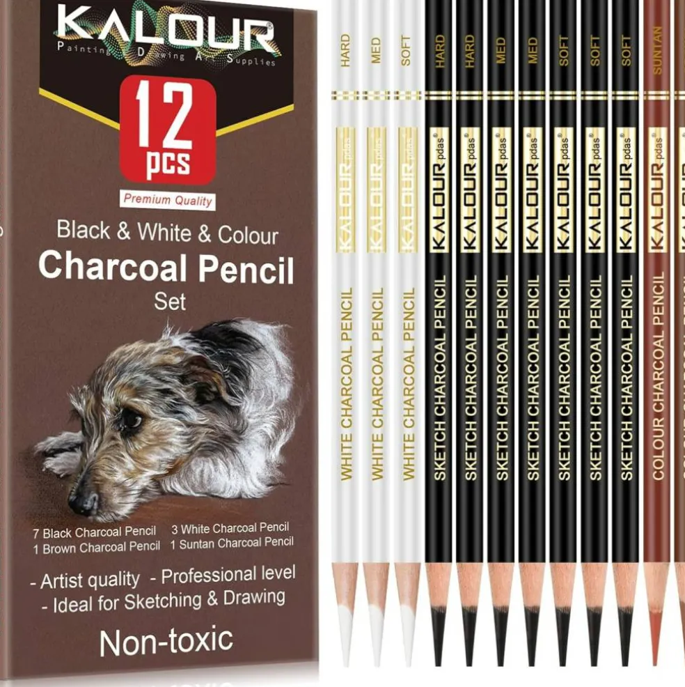 12-Piece Pro Colored Charcoal Set – Pastel Chalk Pencils for Sketching & Shading