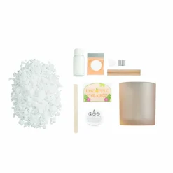 Pineapple Paradise Candle Making Kit by Make Market®