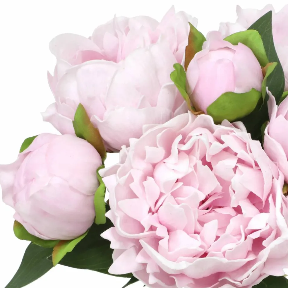 12" Pink Peony Bush by Ashland®