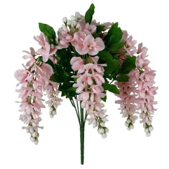 Pink Wisteria Bush by Ashland®