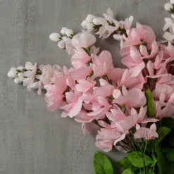 Pink Wisteria Bush by Ashland®