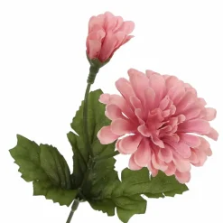 14" Pink Zinnia Bush from Ashland®