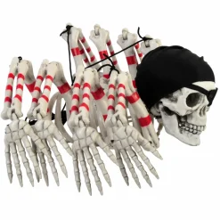 Pirate Skeleton Spider by Ashland®