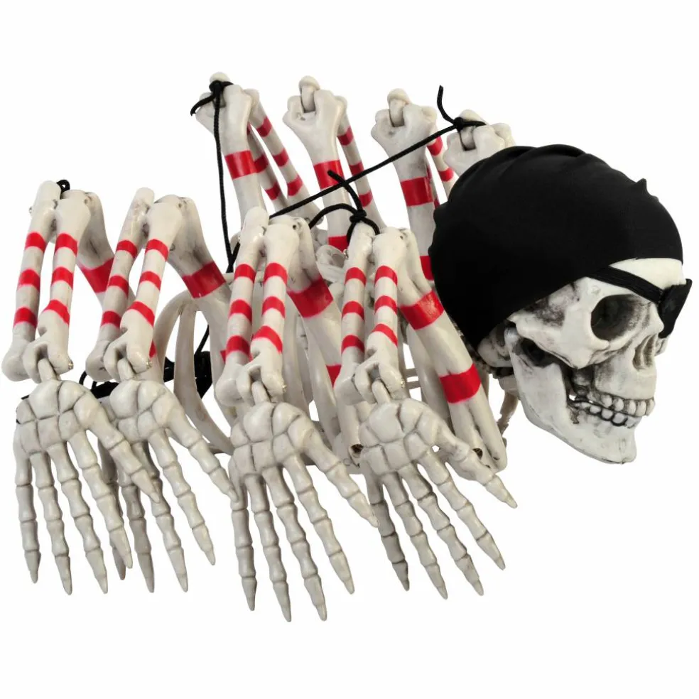Pirate Skeleton Spider by Ashland®