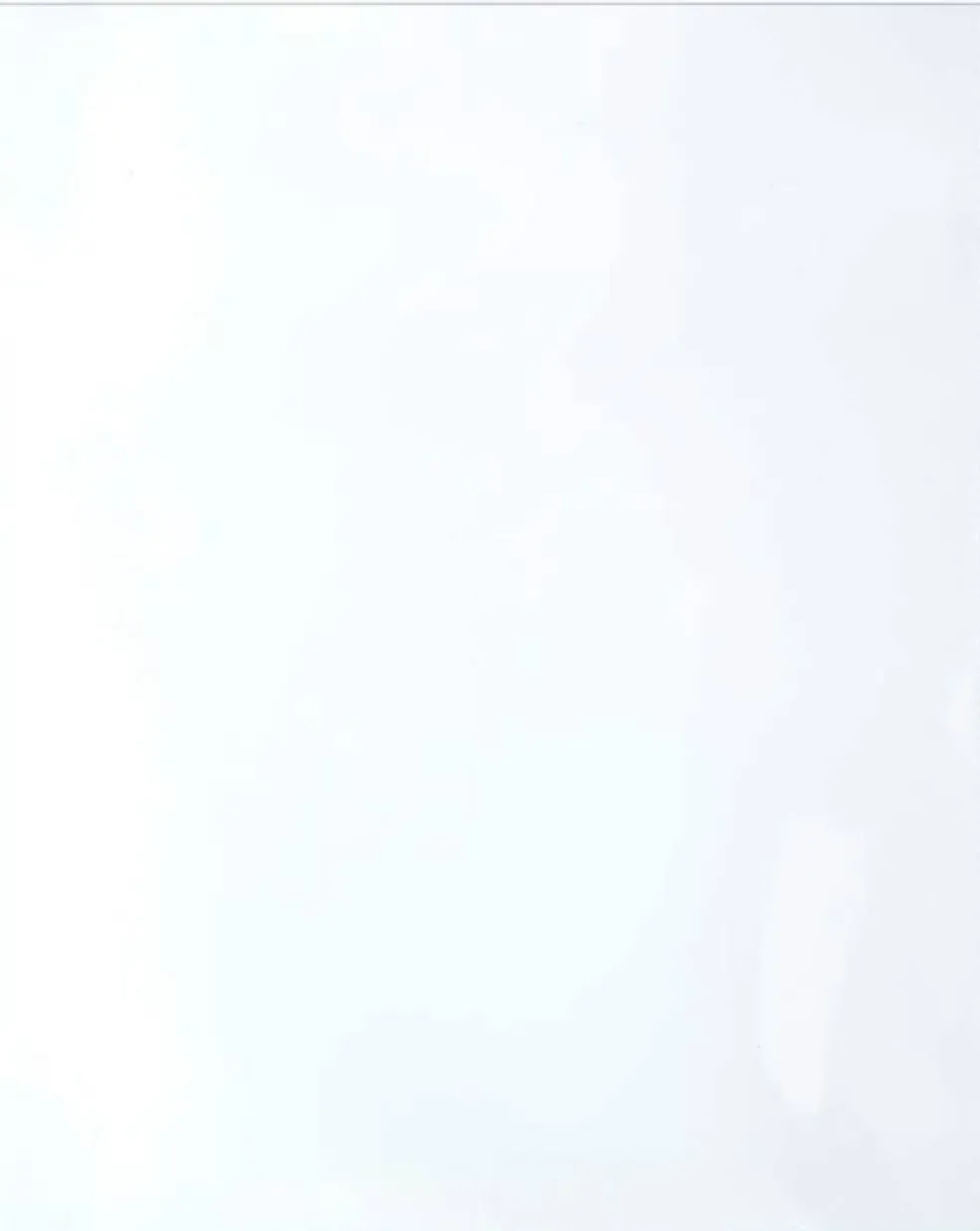 Plastic 2-Pocket Folders - Clear Overlay on Front and Back - Made in U.S.A