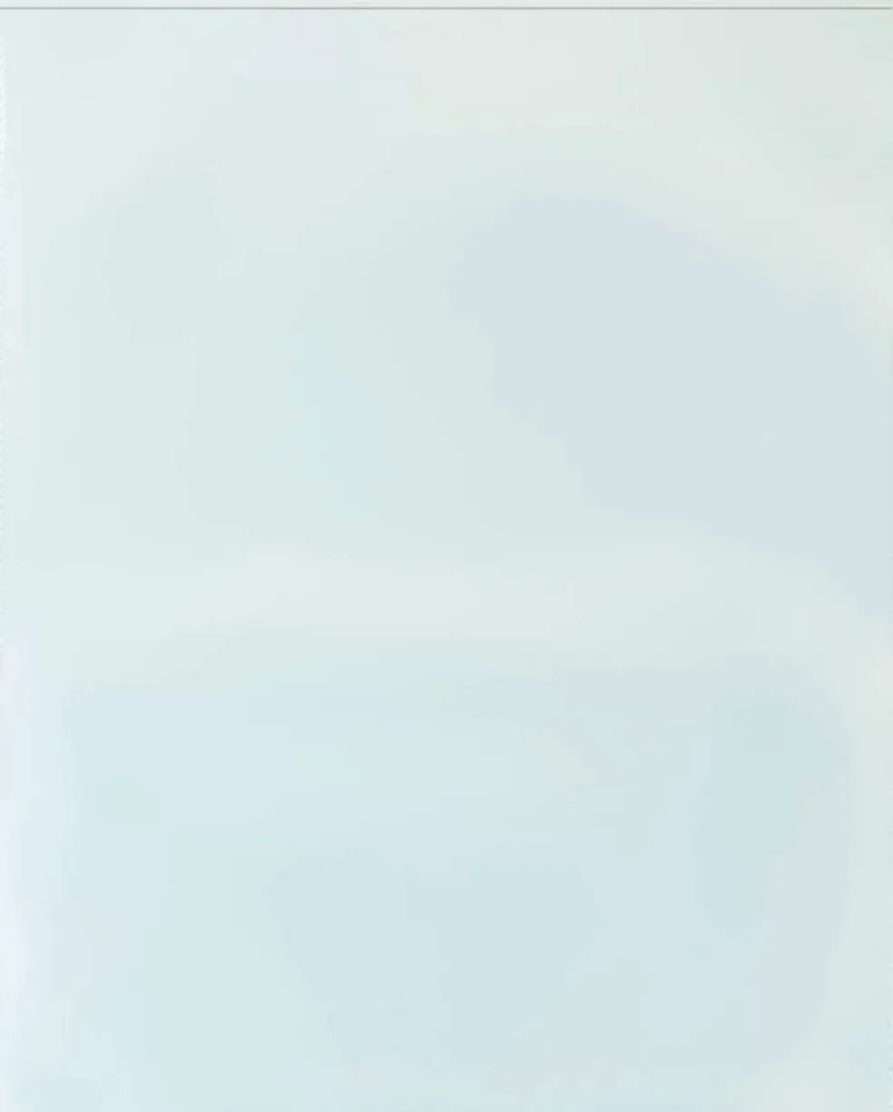 Plastic 2-Pocket Folders - Clear Overlay on Front and Back - Made in U.S.A