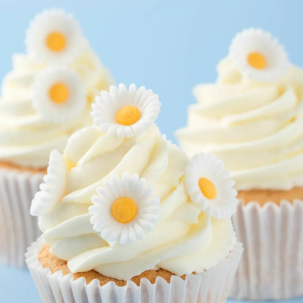 PME Cake Sweet Street® White Daisy Icing Decorations