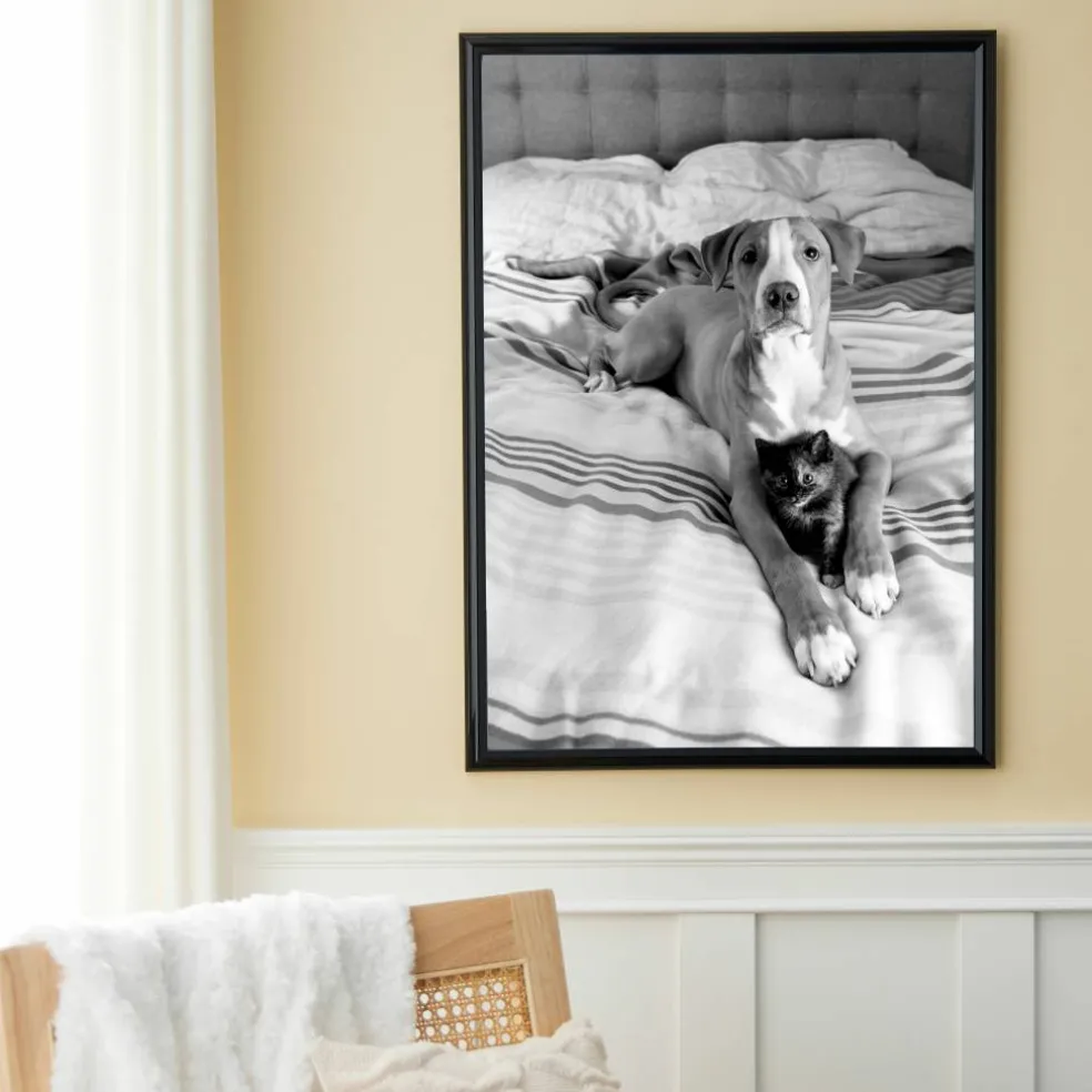 Poster Frame by Studio Décor®
