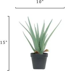 15" Potted Aloe Plant by Ashland®