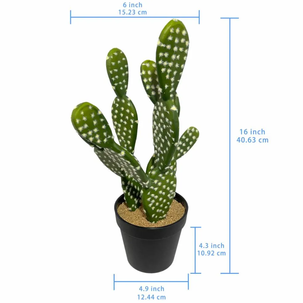 16" Potted Cactus Plant by Ashland®