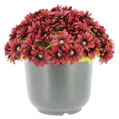 16" Potted Daisy by Ashland®