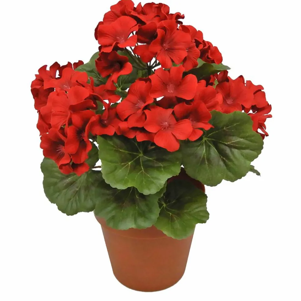 12" Potted Geranium by Ashland®