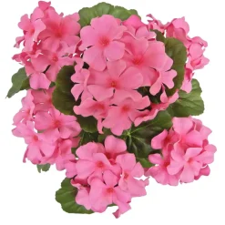 12" Potted Geranium by Ashland®