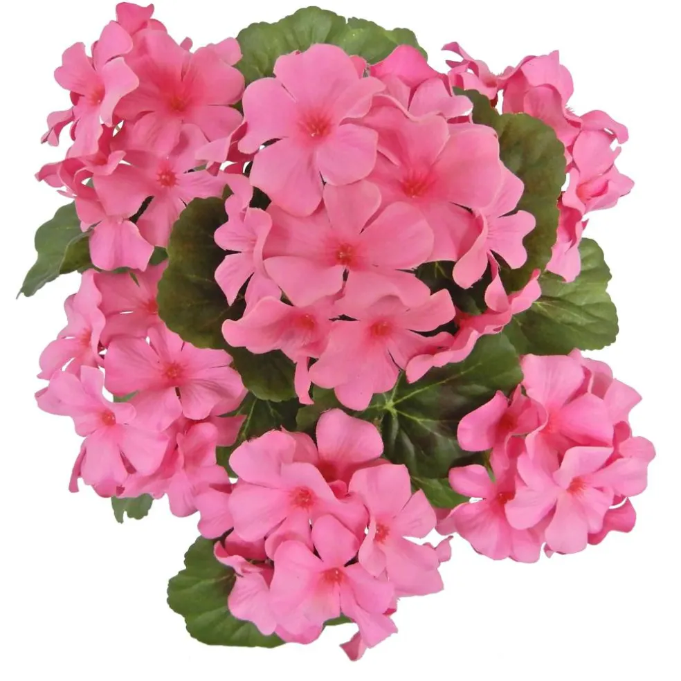 12" Potted Geranium by Ashland®