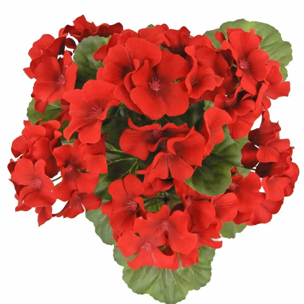 12" Potted Geranium by Ashland®