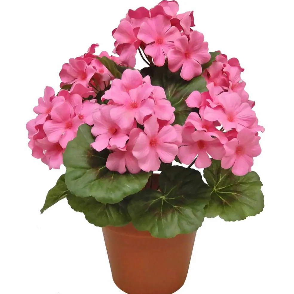 12" Potted Geranium by Ashland®