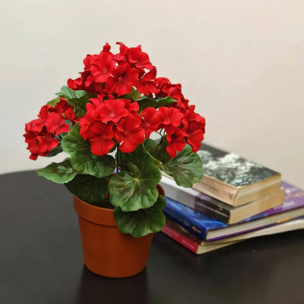 12" Potted Geranium by Ashland®
