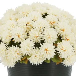 16" Potted Mum by Ashland®