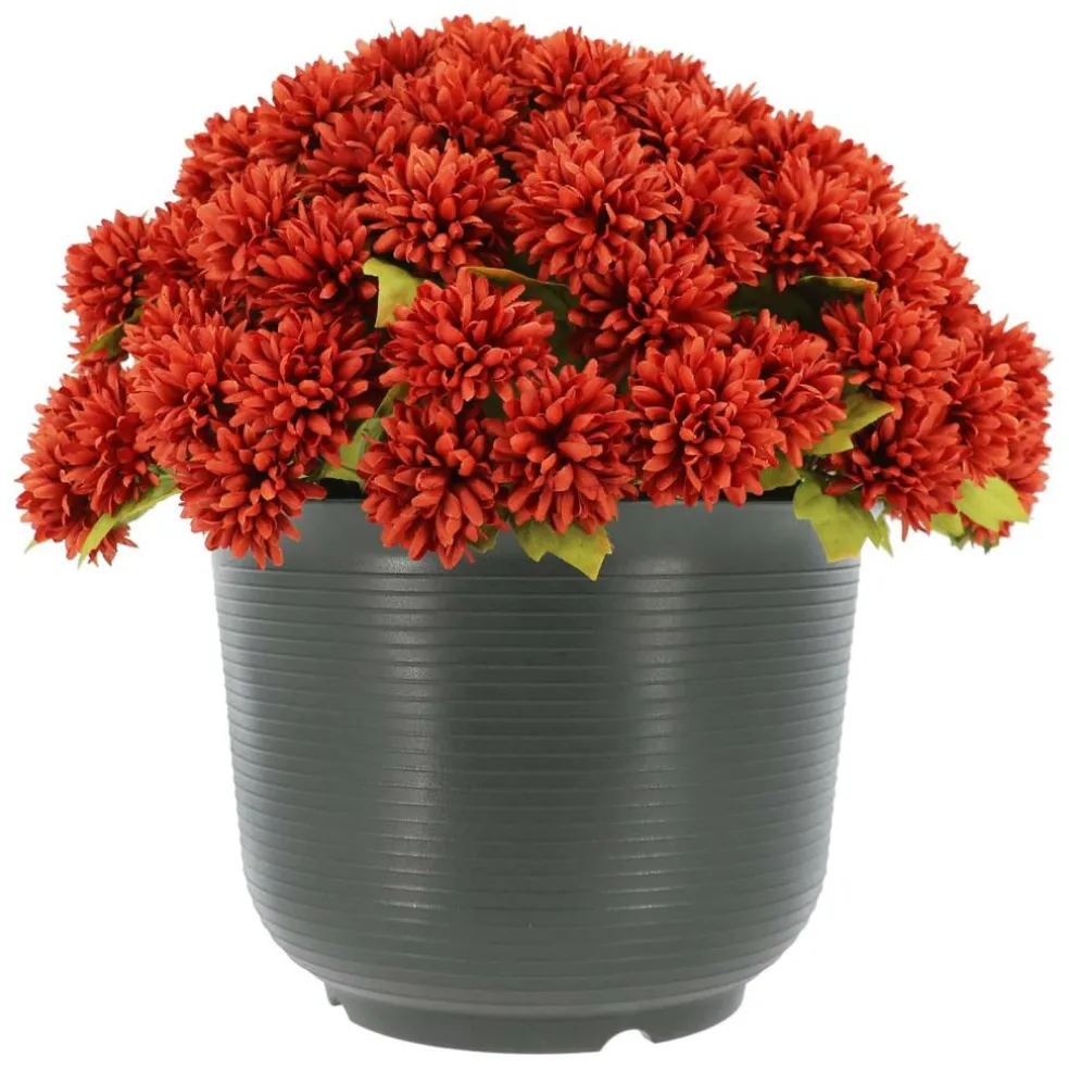 16" Potted Mum by Ashland®