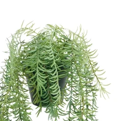 18" Potted Rosemary Plant by Ashland®